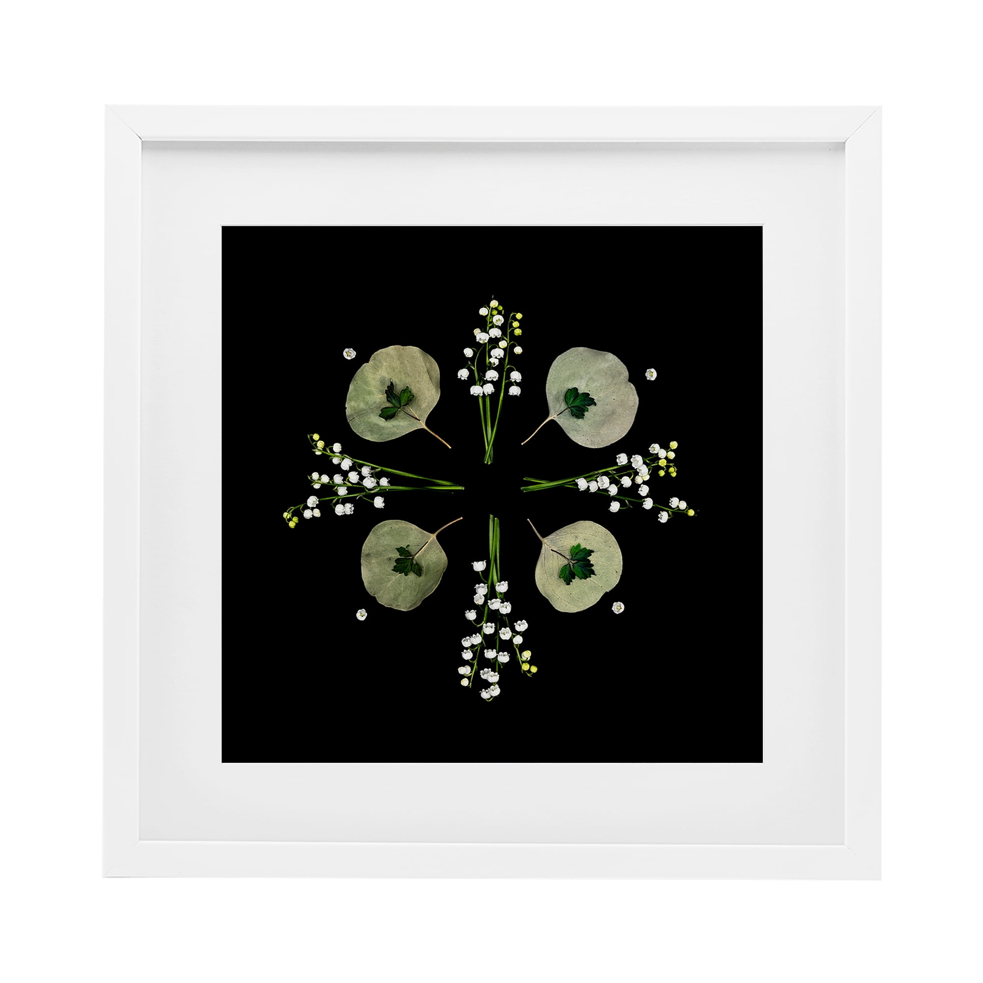 Stupell Industries Leaves & Wildflowers on Black White Framed Print Under Glass, design by Beth Adoette