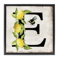 thumbnail image 1 of Stupell Industries Lemon & Bee E Letter Insects Painting Black Floater Framed Canvas Art Print Wall Art, 18 x 18, 1 of 10