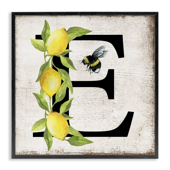 Stupell Industries Lemon & Bee E Letter Insects Painting Black Framed Art Print Wall Art, 12 x 12