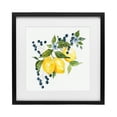 thumbnail image 1 of Stupell Industries French Country Lemon Branch with Berries Black Framed Print Under Glass, 13 x 13, by Livi Finn, 1 of 8