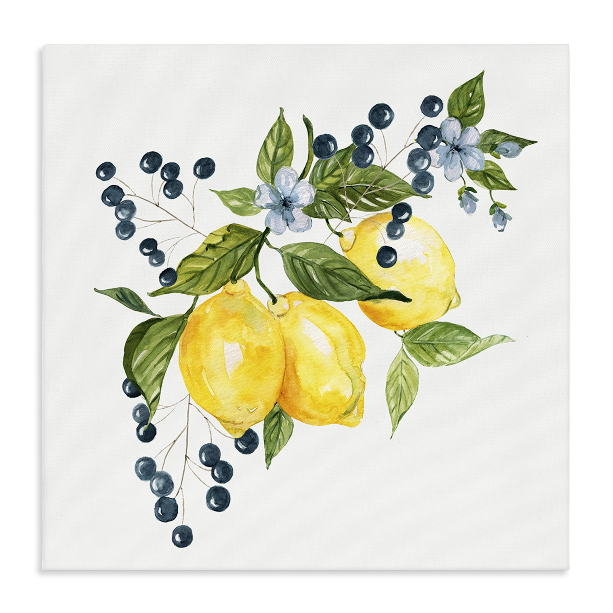 Stupell Industries Lemon Branch with Berries Canvas Wall Art, design by Livi Finn