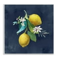 thumbnail image 1 of Stupell Industries Lemon Cluster on Blue Food & Beverage Painting Unframed Art Print Wall Art, 12 x 12, 1 of 8