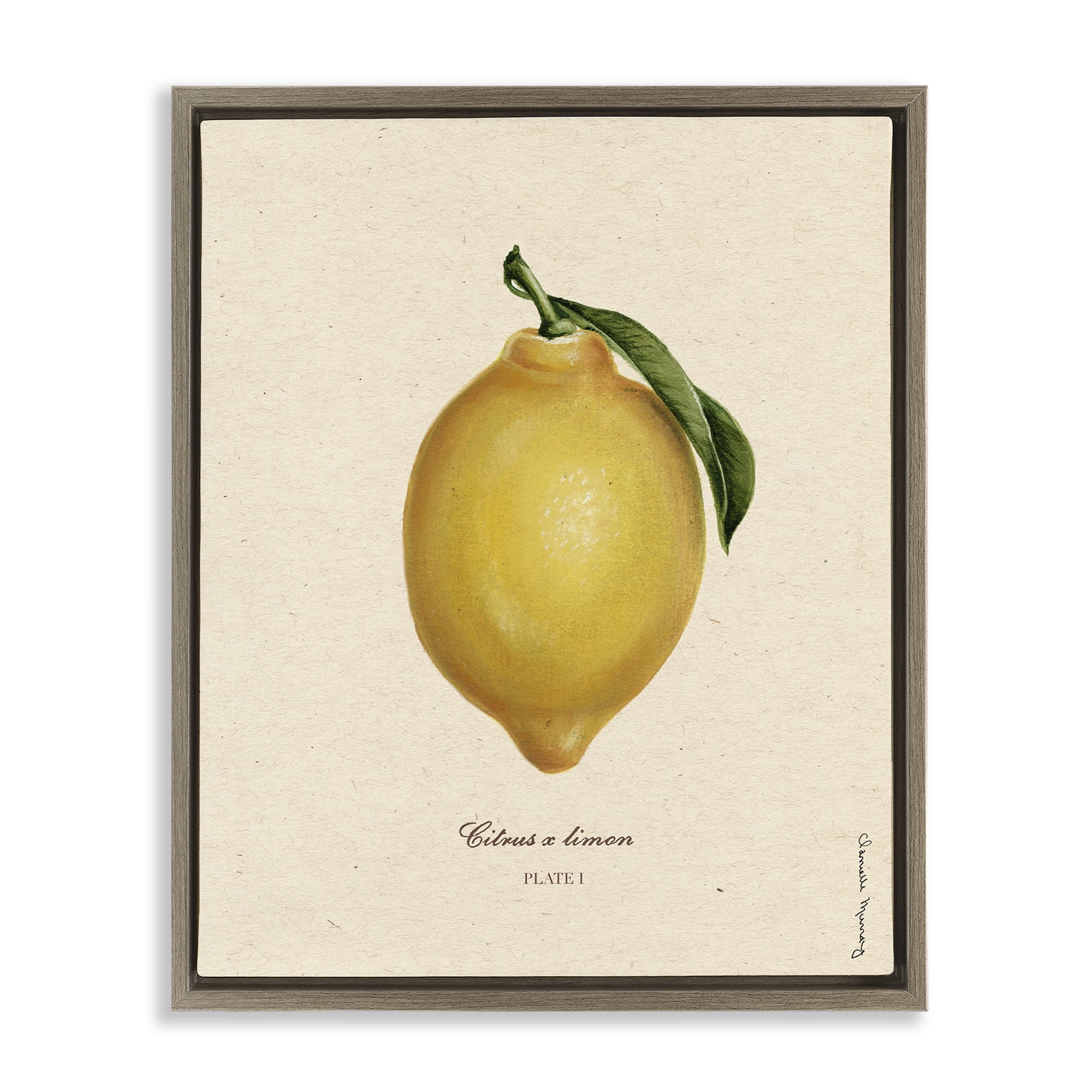 Stupell Industries Lemon Fruit Portrait Brown Framed Floater Canvas Wall Art, design by Danielle Murray