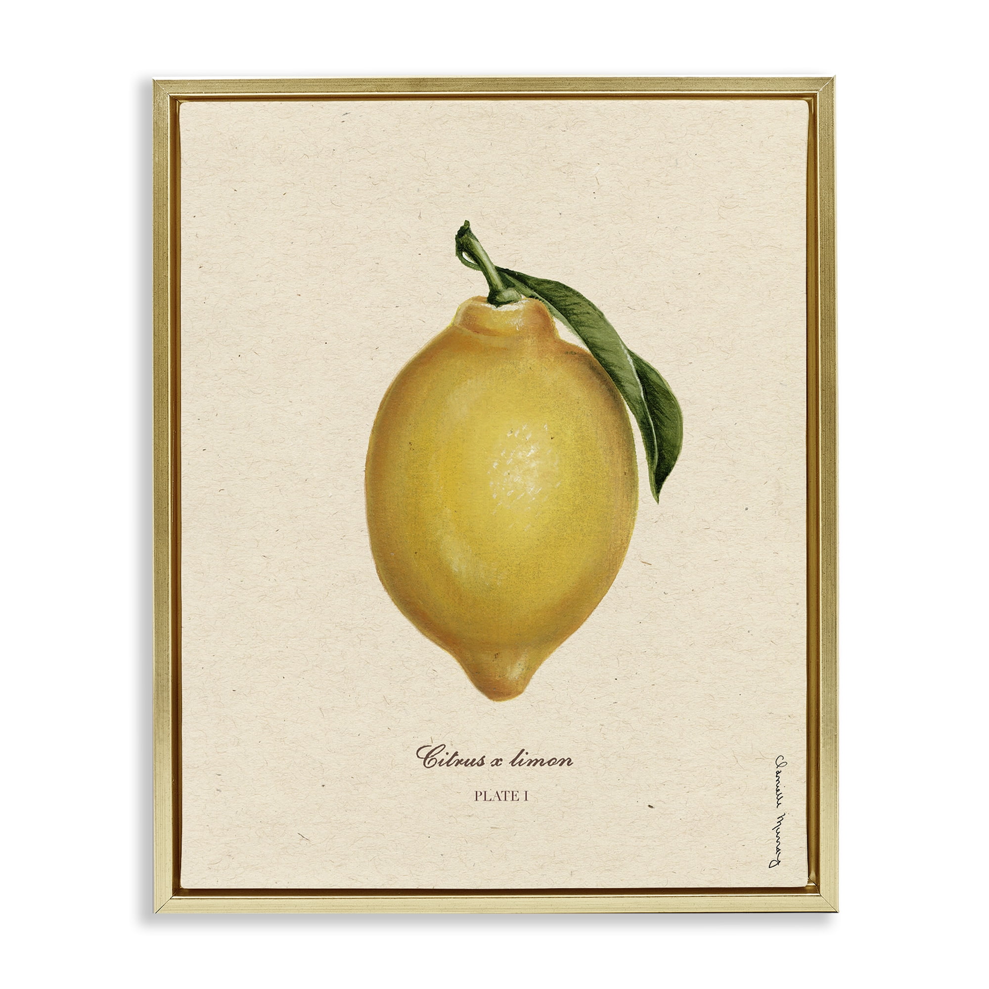 Stupell Industries Lemon Fruit Portrait Gold Framed Floater Canvas Wall Art, design by Danielle Murray