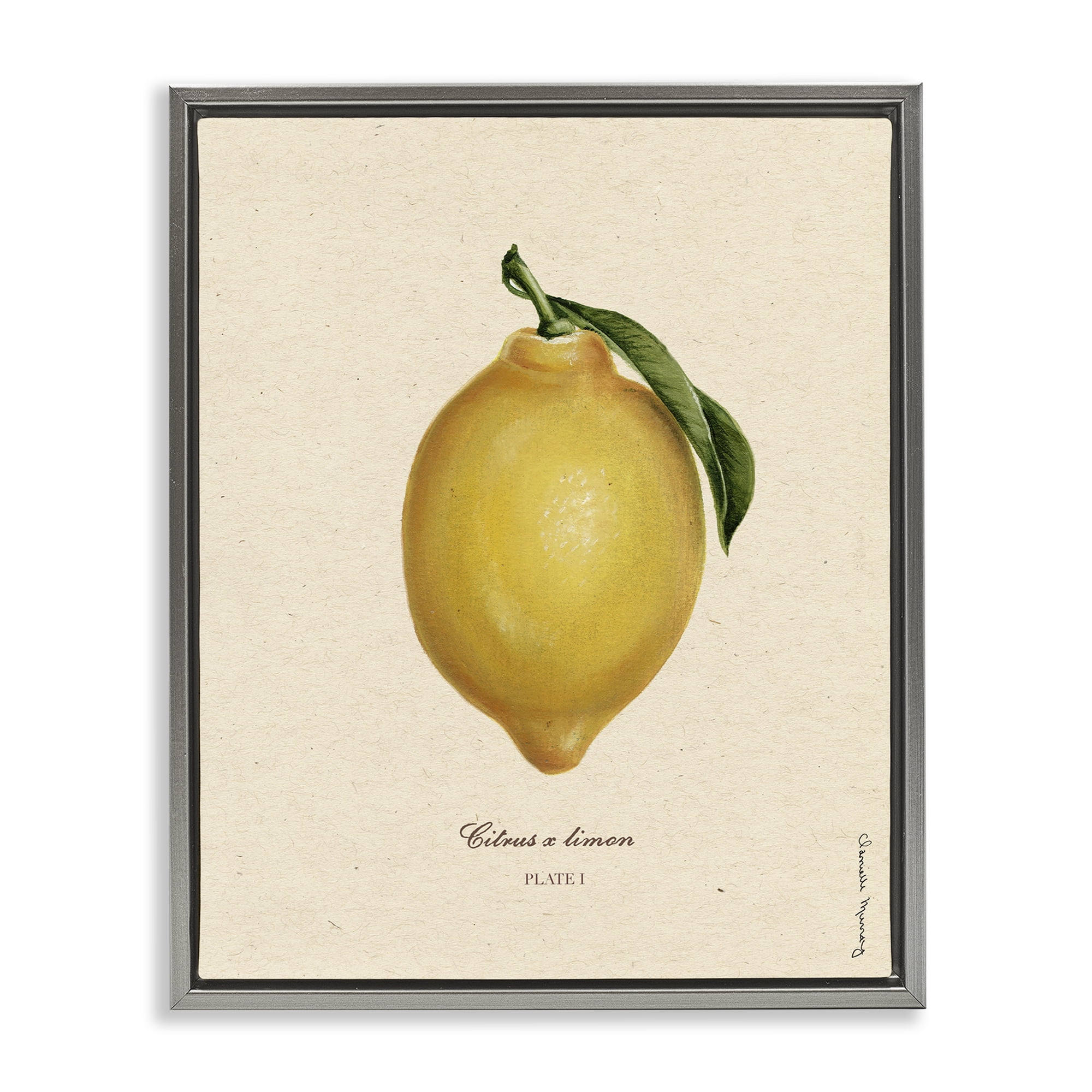 Stupell Industries Lemon Fruit Portrait Gray Framed Floater Canvas Wall Art, design by Danielle Murray