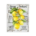 thumbnail image 1 of Stupell Industries Lemon Orchard Market Food & Beverage Painting Unframed Art Print Wall Art, 11 x 14, 1 of 8
