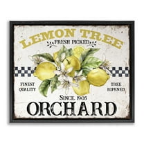 Stupell Industries Lemon Tree Fresh Picked Food & Beverage Painting Black Floater Framed Canvas Art Print Wall Art, 21 x 17
