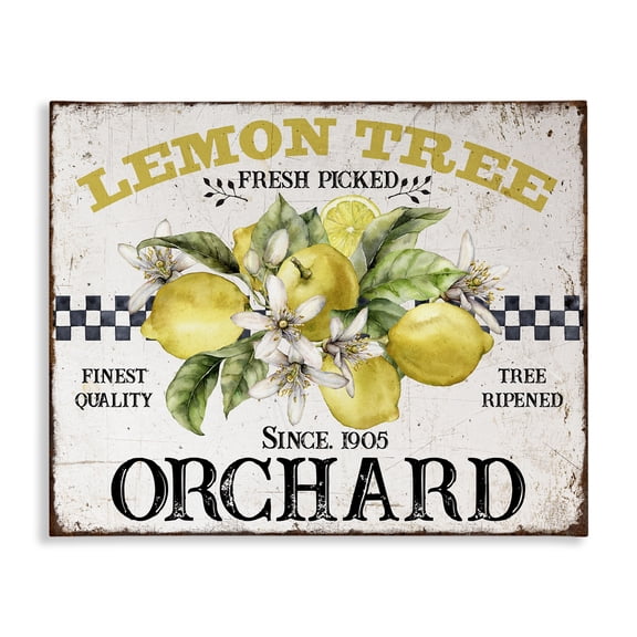Stupell Industries Lemon Tree Fresh Picked Food & Beverage Painting Wrapped Canvas Art Print Wall Art, 20 x 16