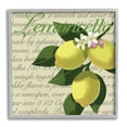 thumbnail image 1 of Stupell Industries Lemoncello Text Blooming Floral Lemon Branch Traditional Script, 24 x 24, Designed by Sally Springer Griffith, 1 of 7