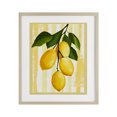 thumbnail image 1 of Stupell Industries Farmhouse Lemons on Green Branch Birch Framed Print Under Glass, 17 x 21, by Yen, 1 of 8