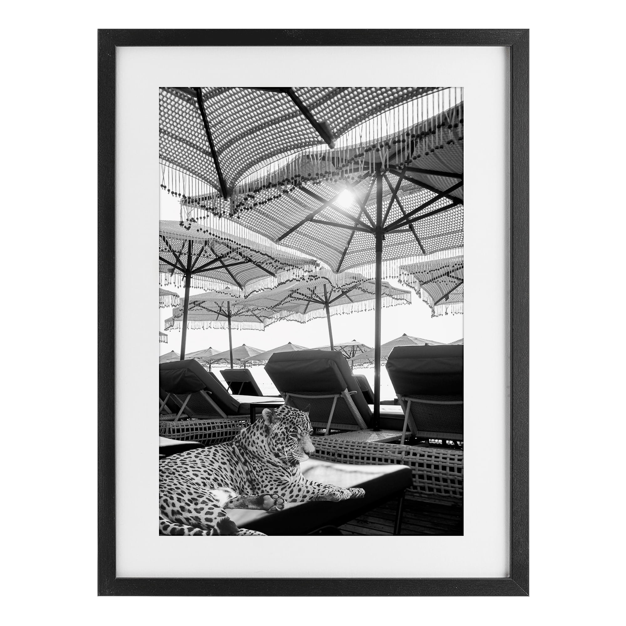 Stupell Industries Leopard On Tropical Vacation Black Framed Print Under Glass, design by Grotto Studios