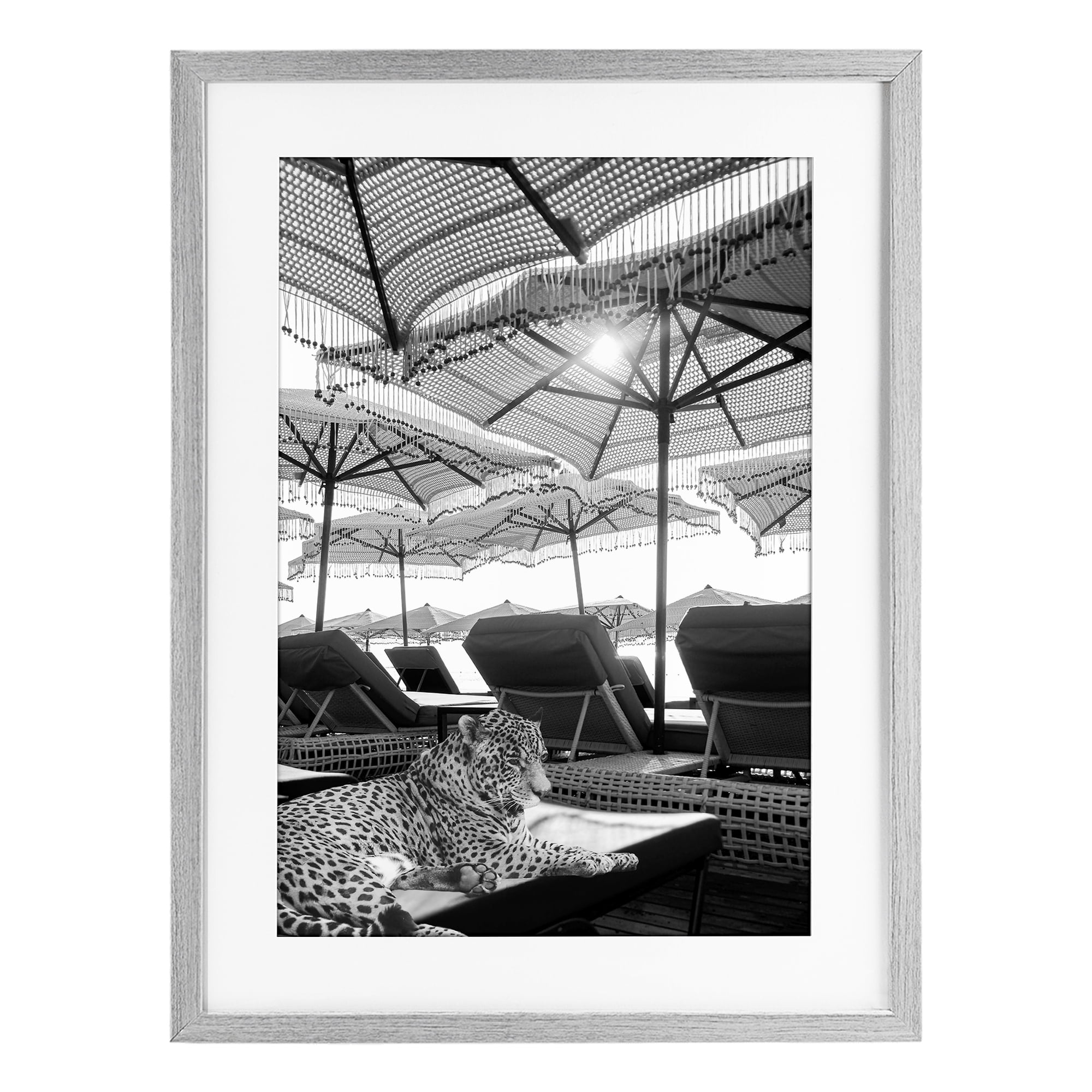 Stupell Industries Leopard On Tropical Vacation Gray Framed Print Under Glass, design by Grotto Studios