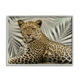 thumbnail image 1 of Stupell Industries Leopard with Palm Fronds Animals & Insects Painting Gray Framed Art Print Wall Art, 20 x 16, 1 of 9