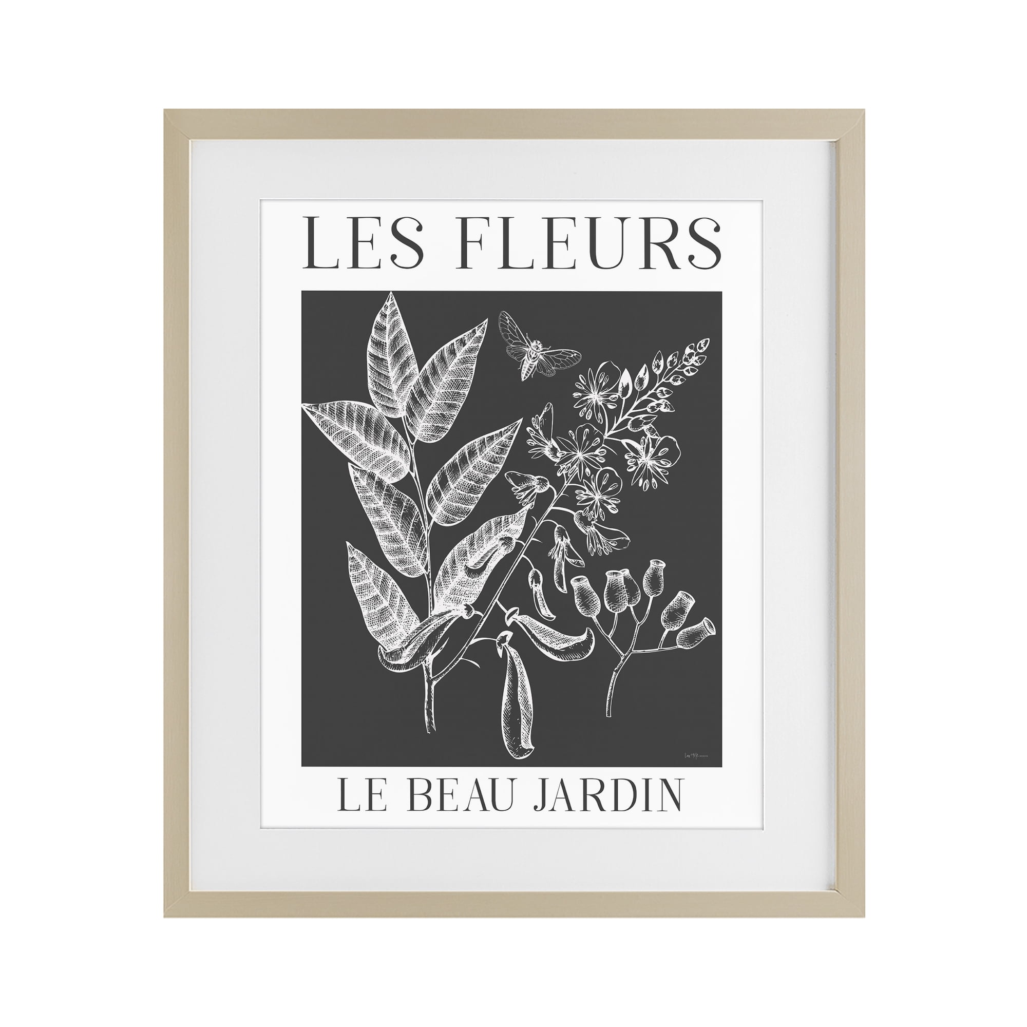 Stupell Industries Les Fleurs Black & White Contour Birch Framed Print Under Glass, design by Lux + Me Designs