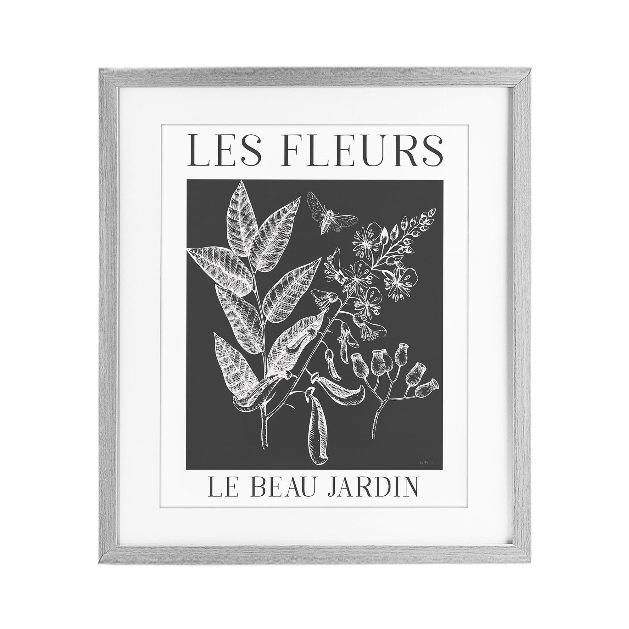 Stupell Industries Les Fleurs Black & White Contour Gray Framed Print Under Glass, design by Lux + Me Designs