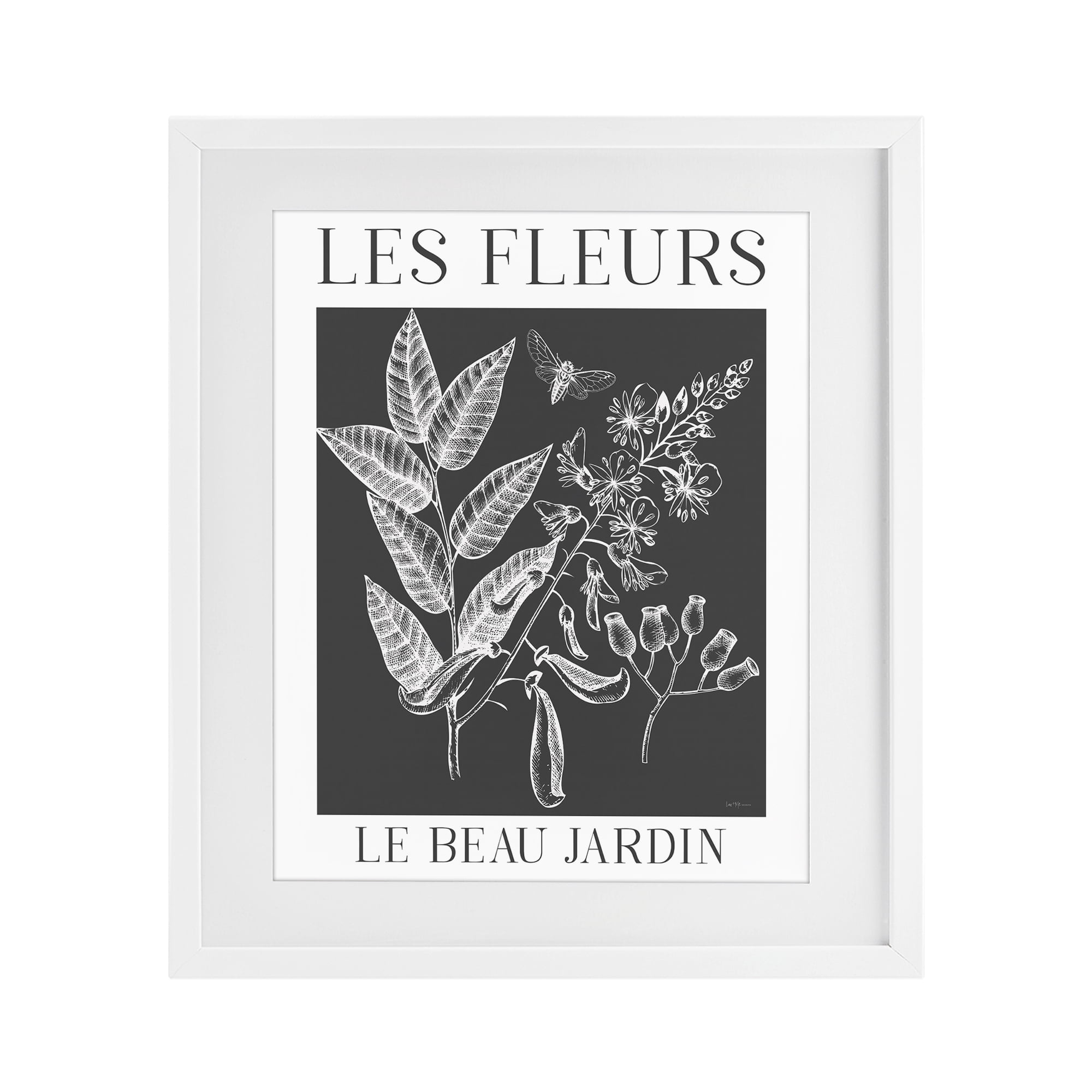 Stupell Industries Les Fleurs Black & White Contour White Framed Print Under Glass, design by Lux + Me Designs