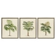thumbnail image 1 of Stupell Industries Les Palmiers Botanical Trio Botanical & Floral Painting Brown Floater Framed Canvas Art Print Wall Art, 17 x 21, Set of 3, 1 of 9