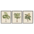 thumbnail image 1 of Stupell Industries Les Palmiers Botanical Trio Botanical & Floral Painting Gray Floater Framed Canvas Art Print Wall Art, 17 x 21, Set of 3, 1 of 9