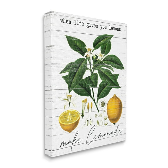 Stupell Industries Life Gives Lemons Quote Country Fruit Anatomy Canvas Wall Art by Lettered and Lined