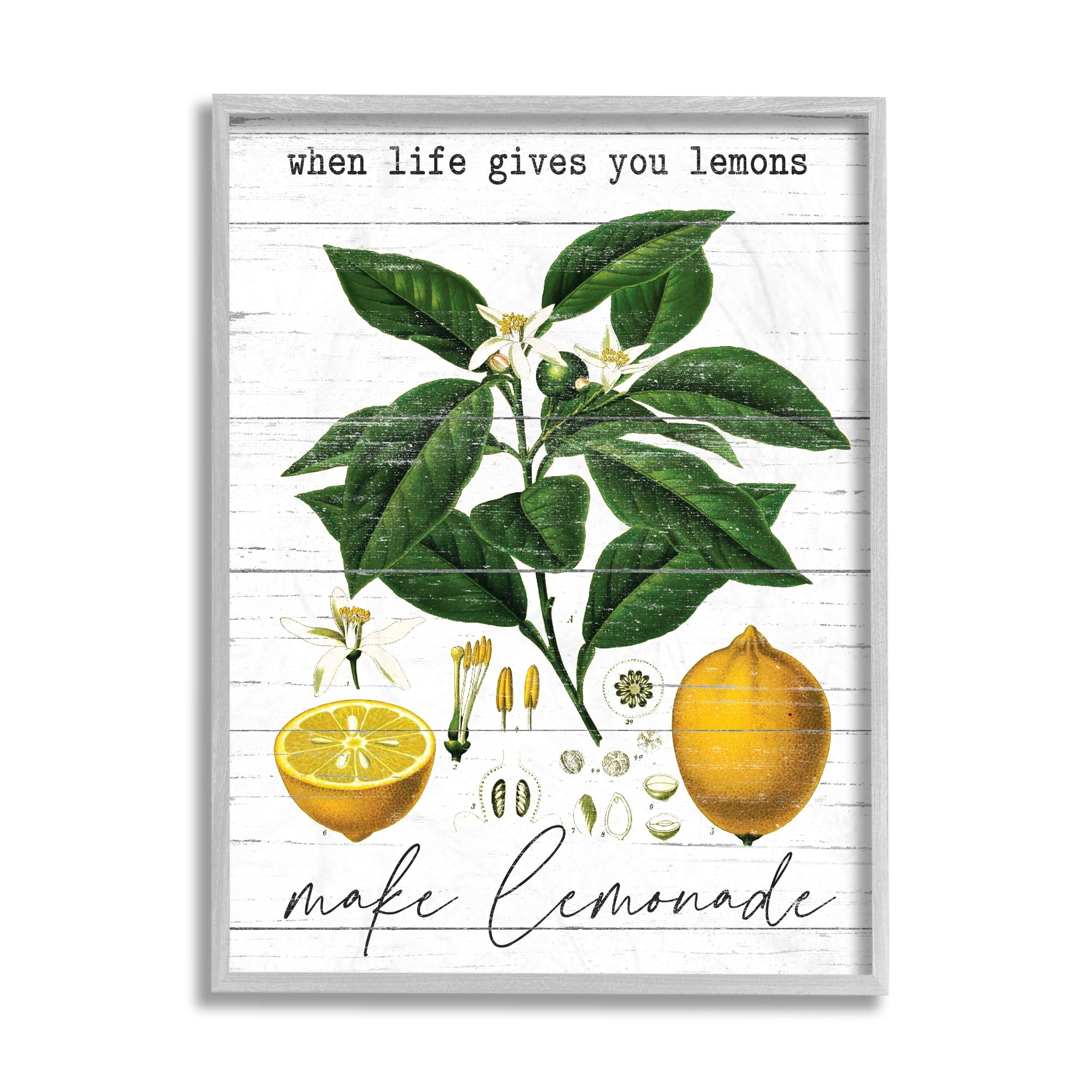 Stupell Industries Life Gives Lemons Quote Country Fruit Anatomy Gray Framed by Lettered and Lined
