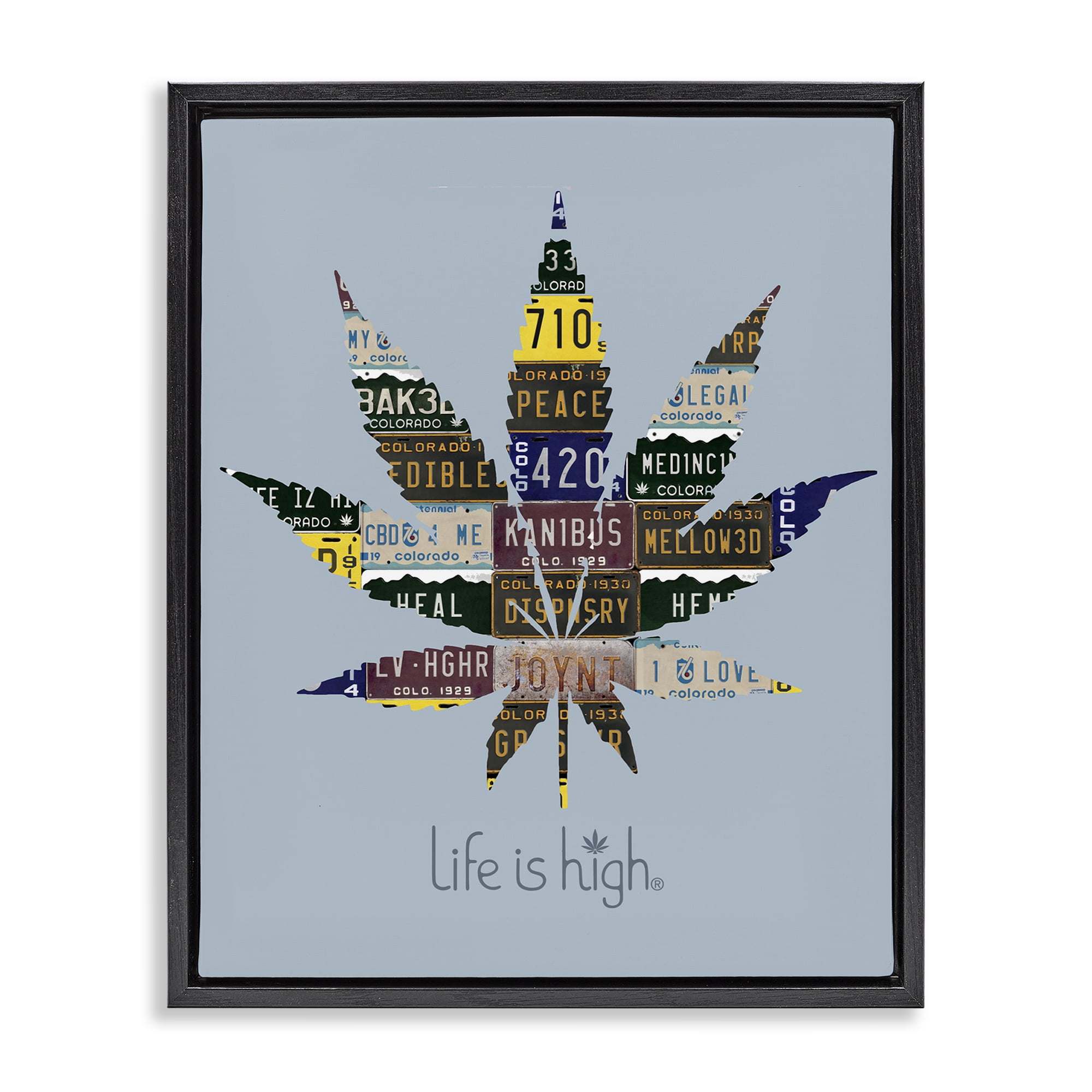 Stupell Industries Life Is High with Plant Novelty & Humor Painting Black Floater Framed Canvas Art Print Wall Art, 17 x 21