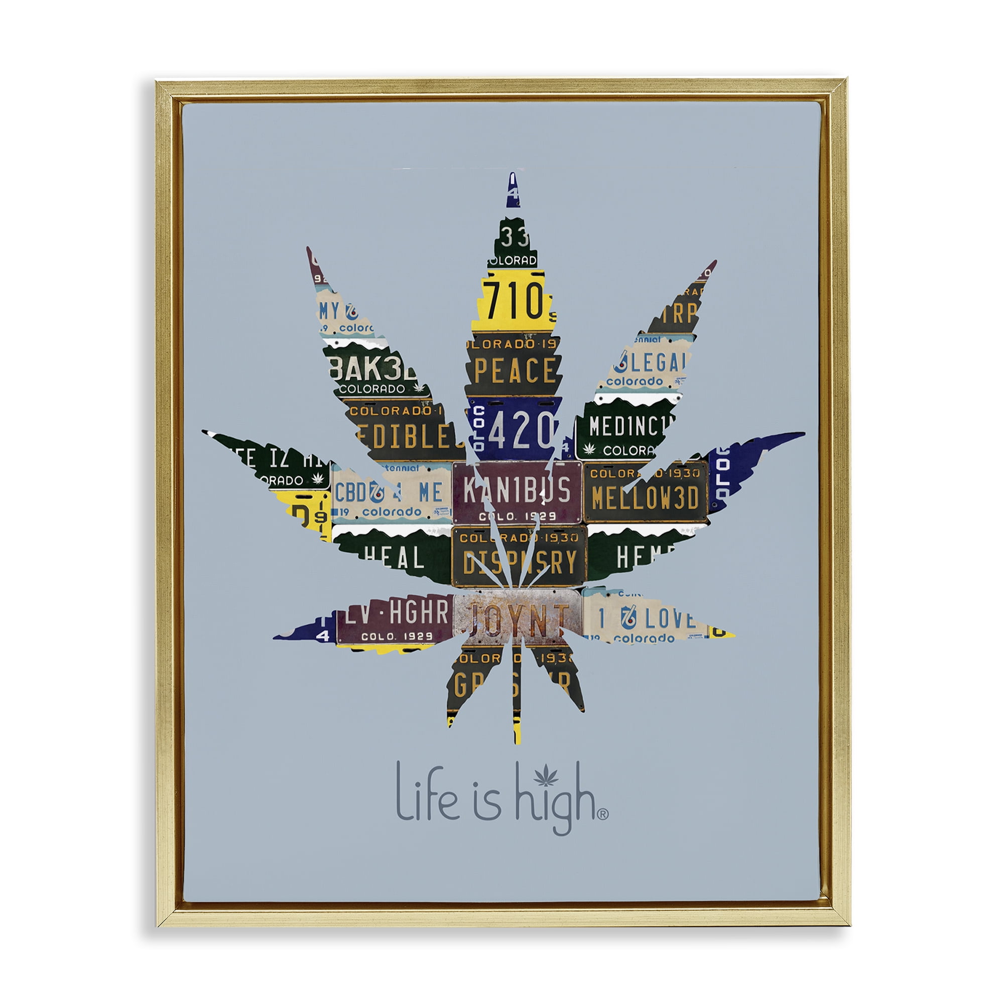 Stupell Industries Life Is High with Plant Novelty & Humor Painting Gold Floater Framed Canvas Art Print Wall Art, 25 x 31