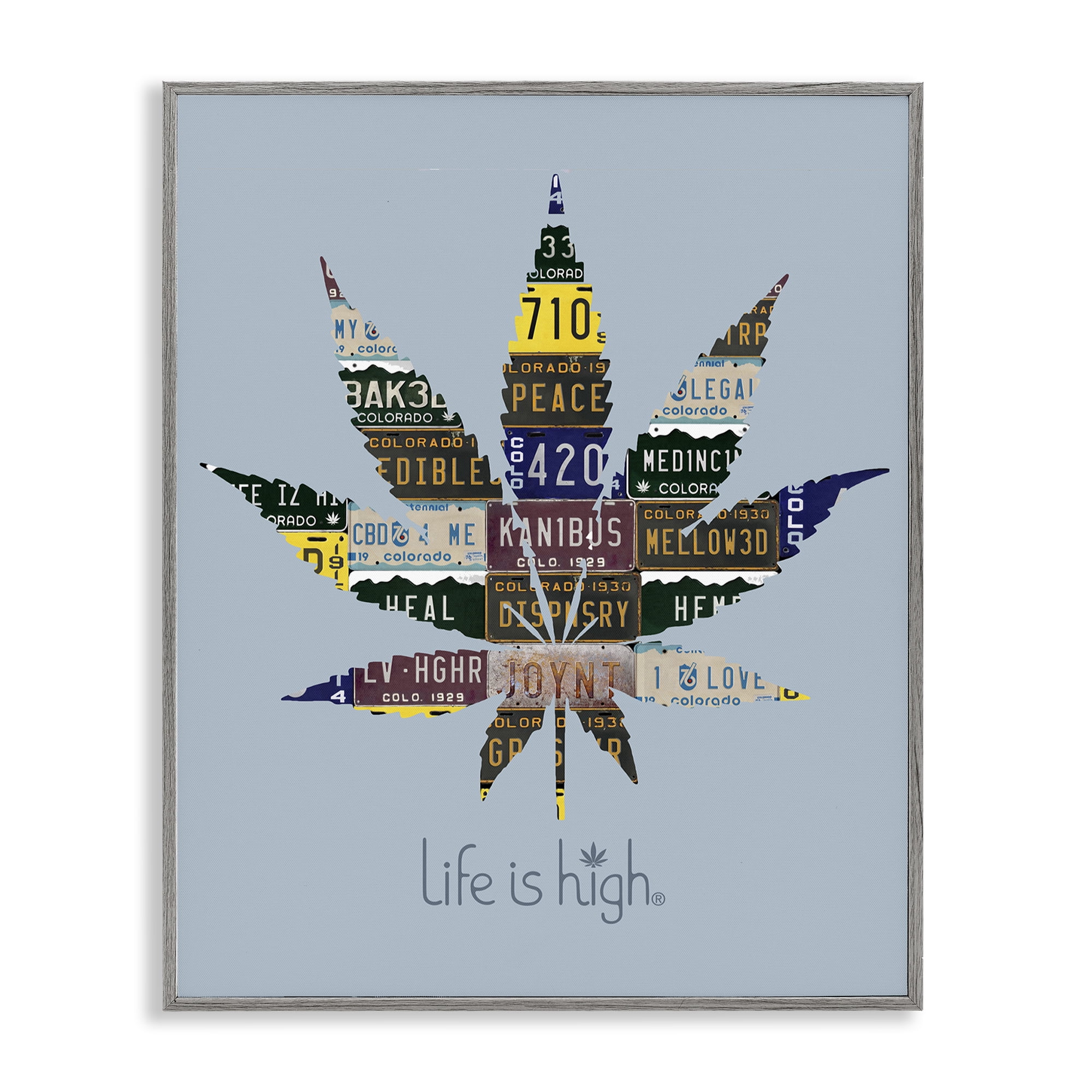 Stupell Industries Life Is High with Plant Novelty & Humor Painting Gray Framed Art Print Wall Art, 11 x 14
