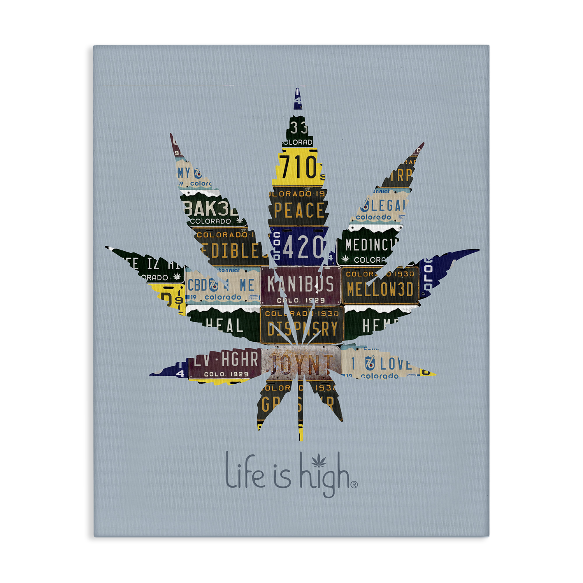 Stupell Industries Life Is High with Plant Novelty & Humor Painting Wrapped Canvas Art Print Wall Art, 24 x 30