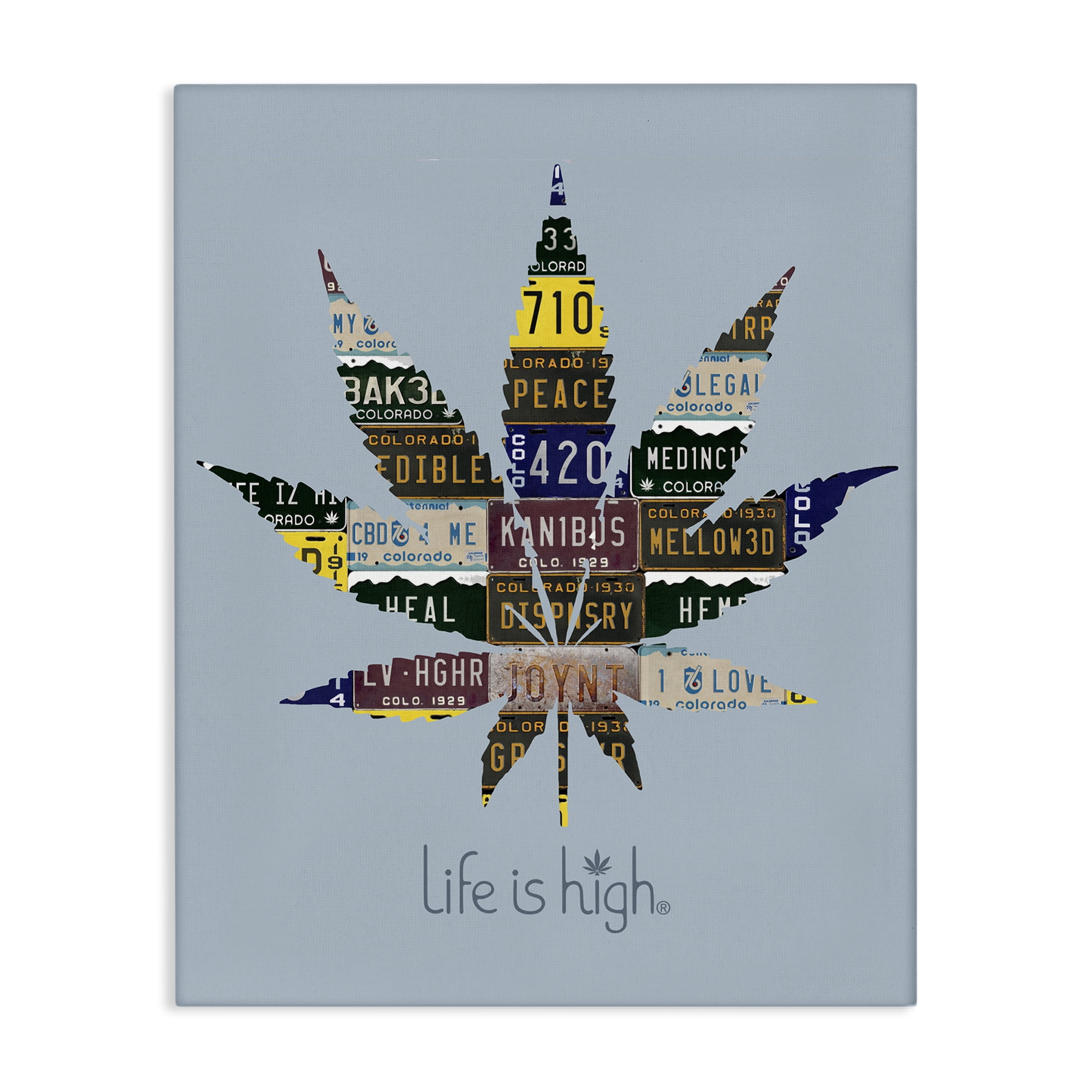 Stupell Industries Life Is High with Plant Novelty & Humor Painting Wrapped Canvas Art Print Wall Art, 30 x 40