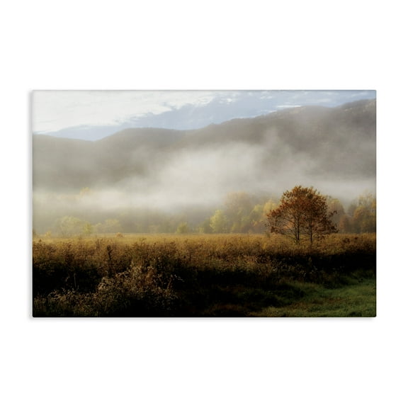Stupell Industries Lifting Fog over Nature Canvas Wall Art design by D. Burt, 24 x 36