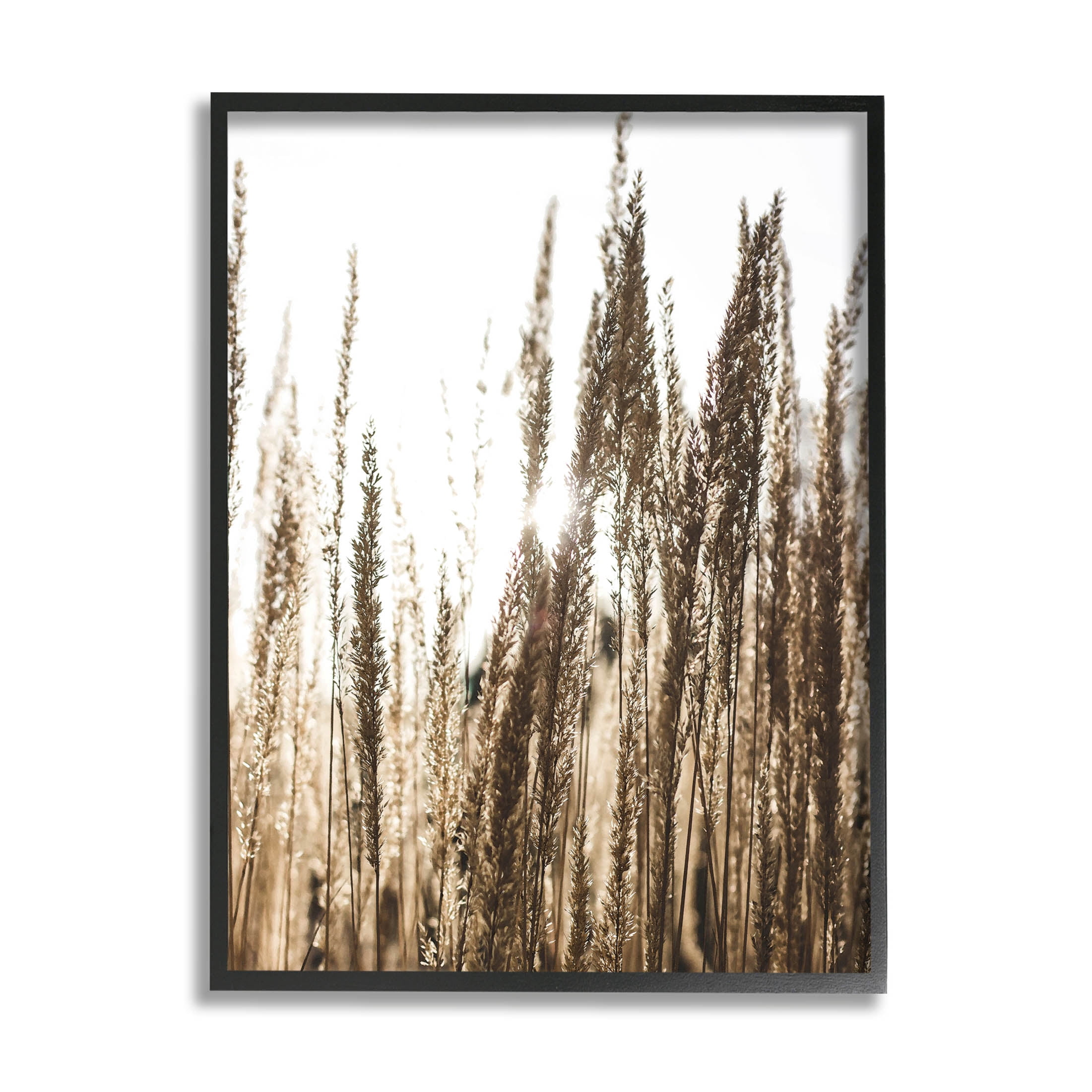 Stupell Industries Light Ray though Wheat Field Photograph Black Framed Art Print Wall Art, Design by Susan Ball