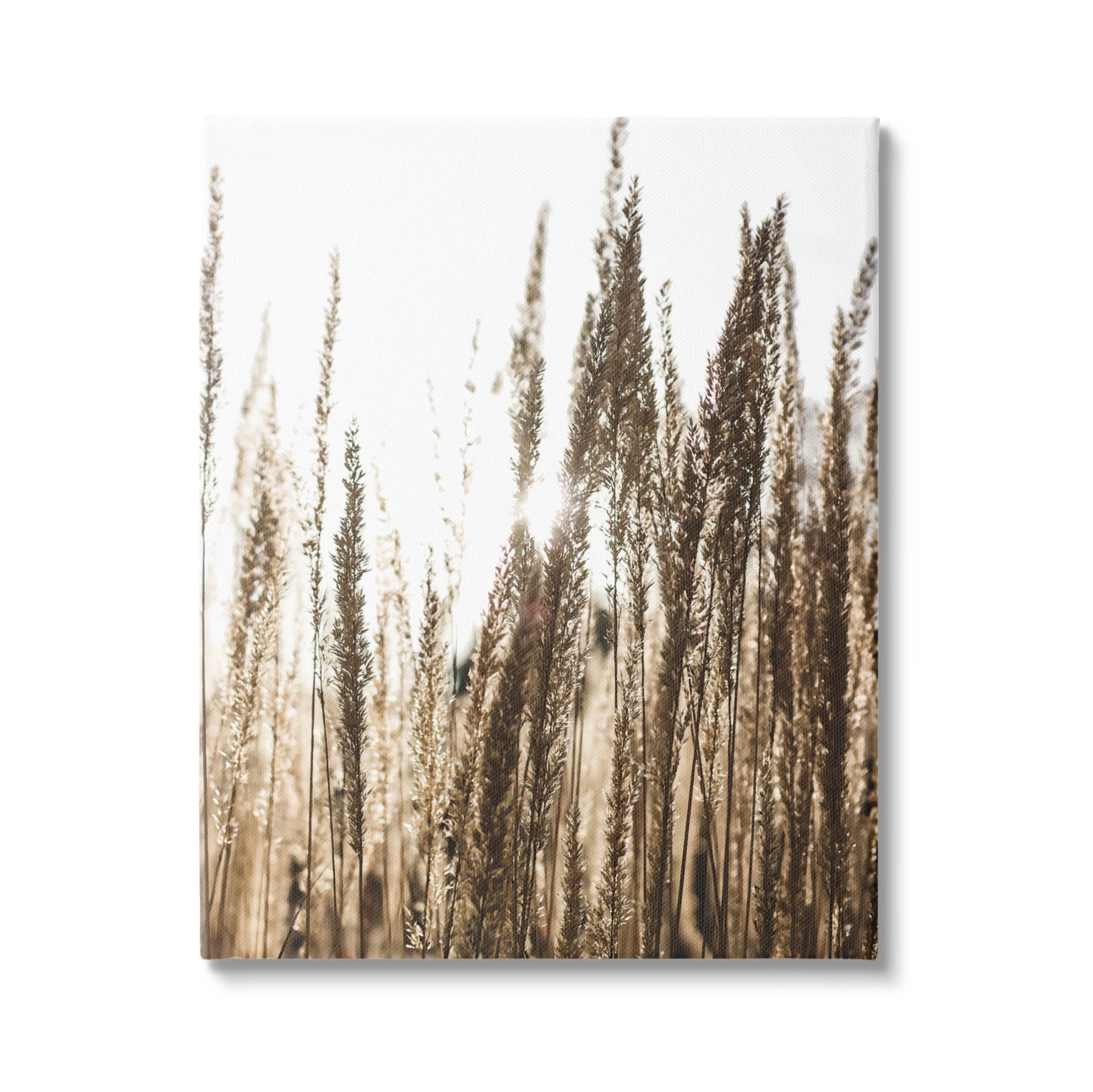 Stupell Industries Light Ray though Wheat Field Photograph Gallery Wrapped Canvas Print Wall Art, Design by Susan Ball
