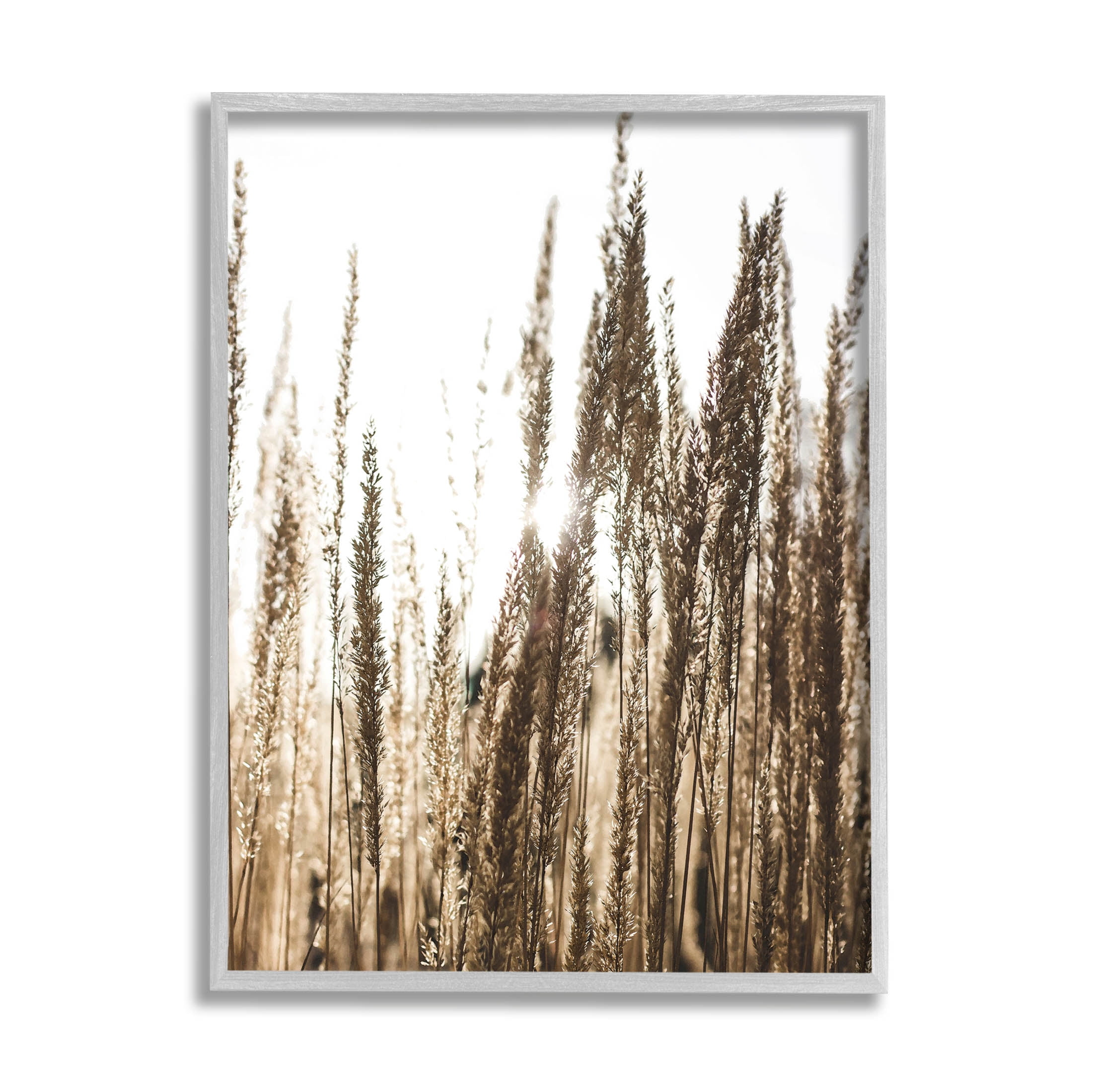 Stupell Industries Light Ray though Wheat Field Photograph Gray Framed Art Print Wall Art, Design by Susan Ball