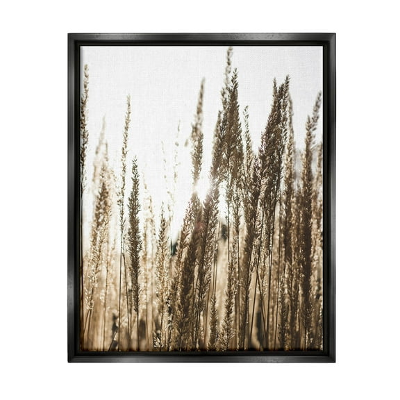 Stupell Industries Light Ray though Wheat Field Photograph Jet Black Floating Framed Canvas Print Wall Art, Design by Susan Ball