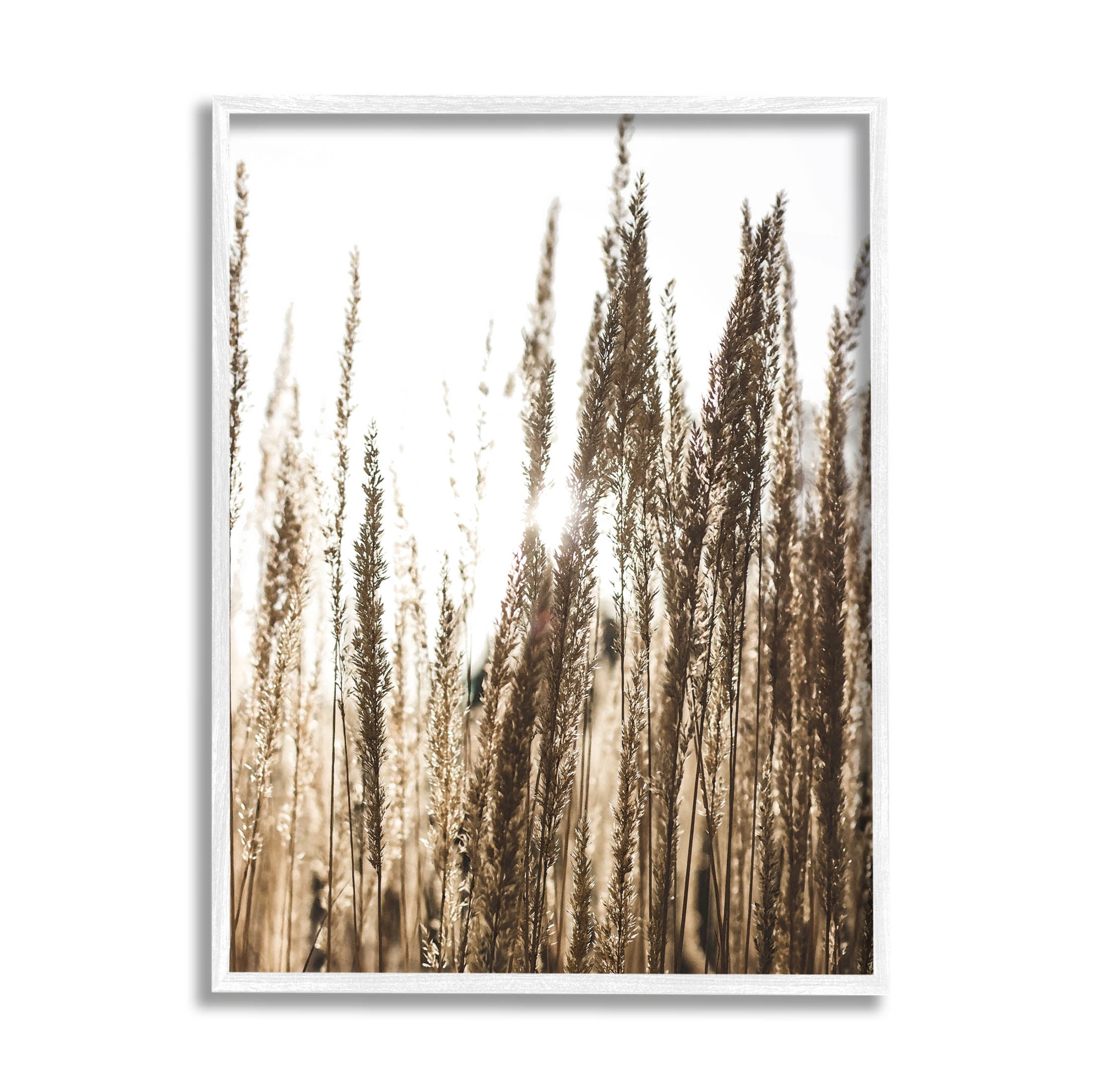 Stupell Industries Light Ray though Wheat Field Photograph White Framed Art Print Wall Art, Design by Susan Ball