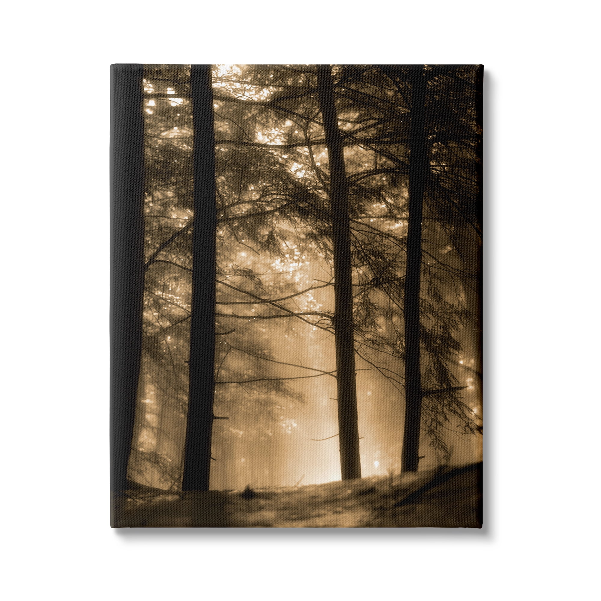 Stupell Industries Light Through Forest Tree Top Foggy Woodland Photography, 30 x 40,Design by Daniel Sproul