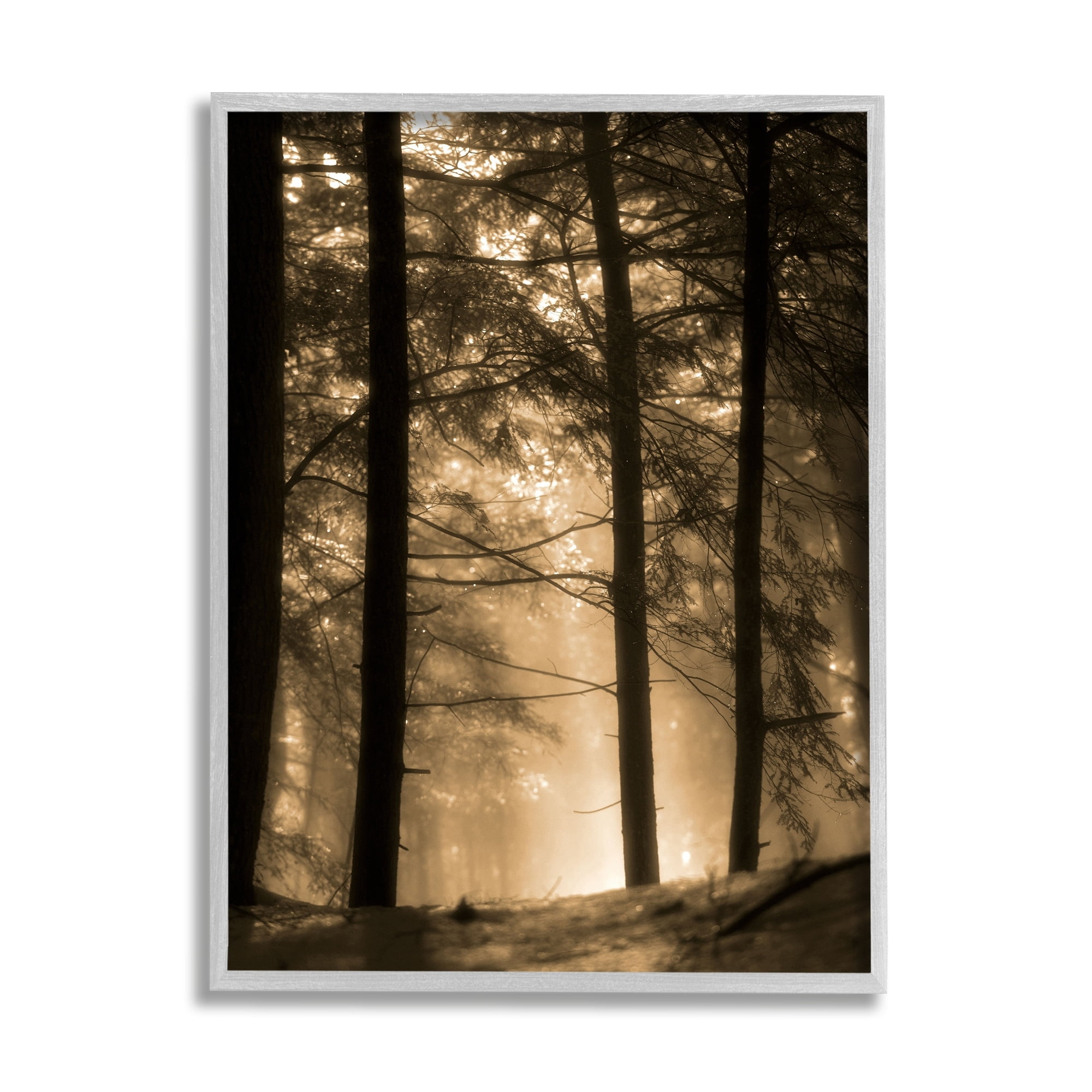 Stupell Industries Light Through Forest Tree Top Foggy Woodland Photography Gray Framed Art Print Wall Art, 11x14, by Daniel Sproul