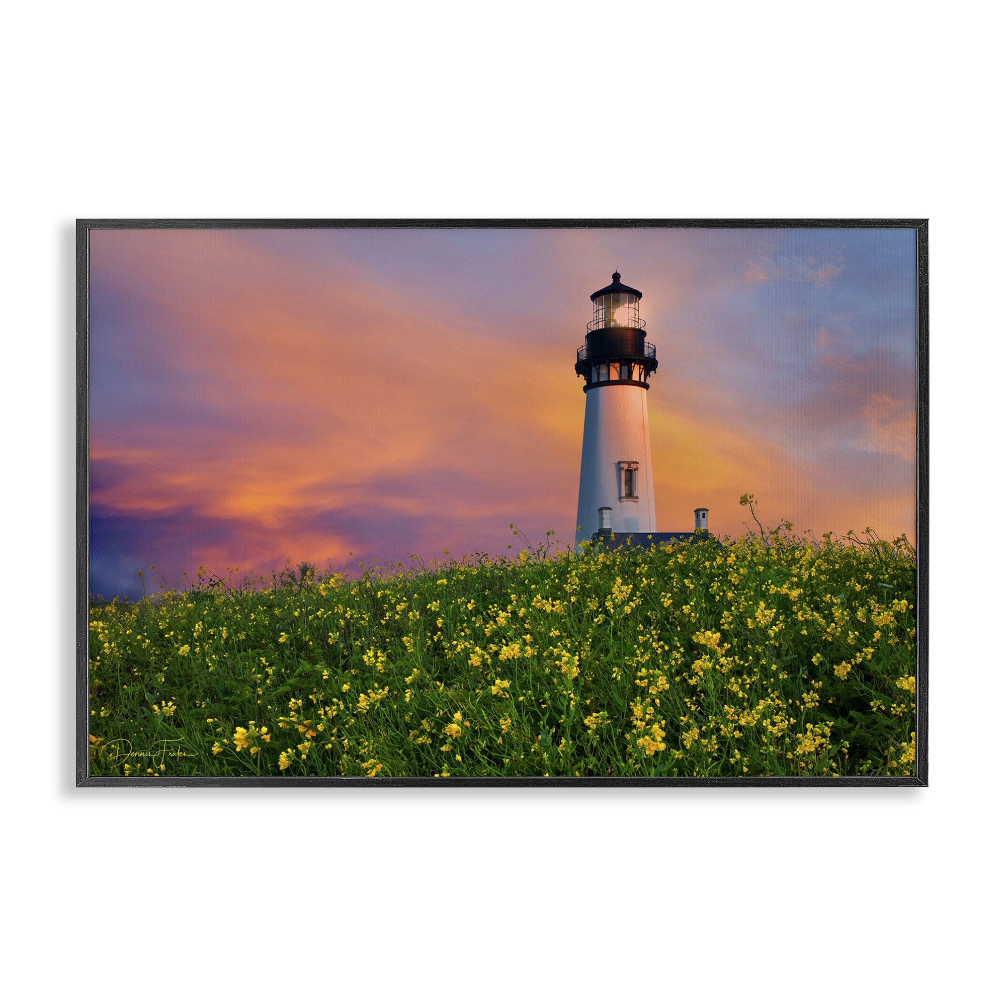 Stupell Industries Lighthouse & Floral Meadow Coastal Photography Black Framed Art Print Wall Art, 30 x 20
