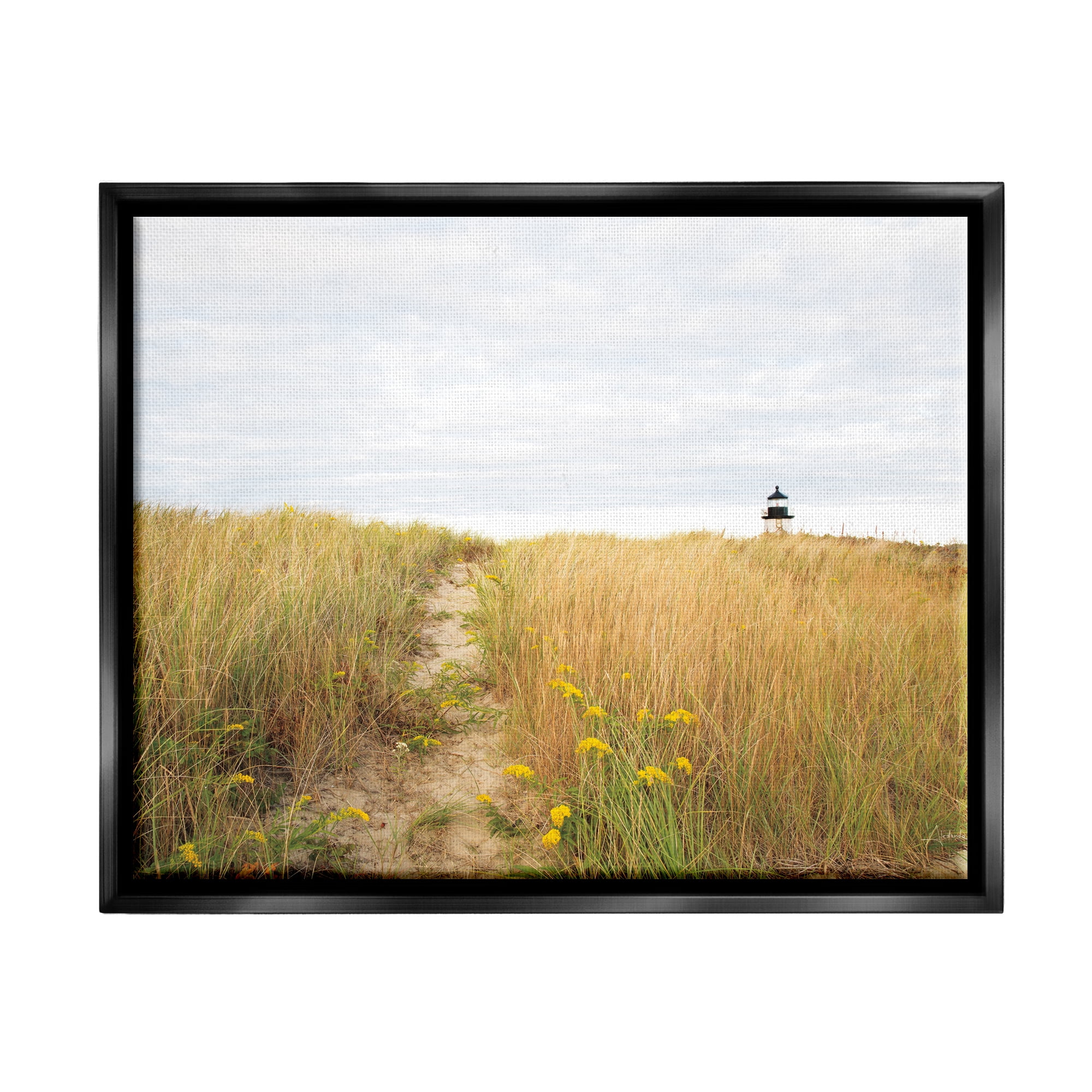 Stupell Industries Lighthouse Grassland Scenery Nature Photography Black Floater Framed Art Print Wall Art, 21 x 17