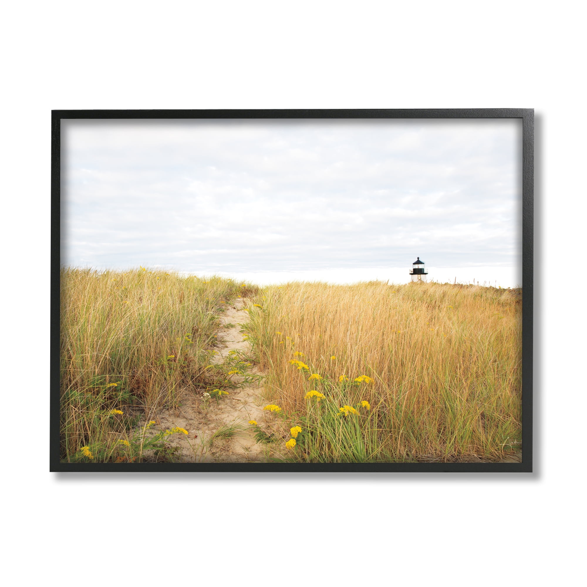 Stupell Industries Lighthouse Grassland Scenery Nature Photography Black Framed Art Print Wall Art, 14 x 11