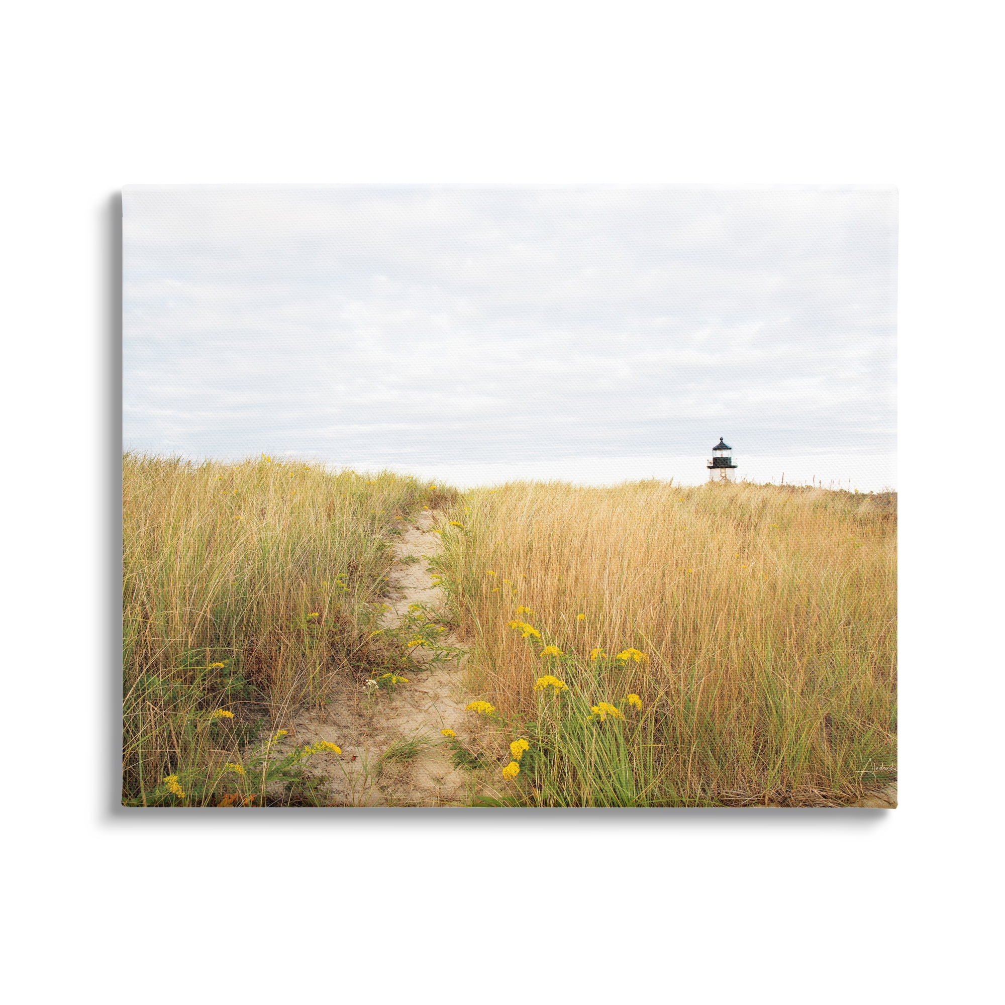 Stupell Industries Lighthouse Grassland Scenery Nature Photography Gallery Wrapped Canvas Print Wall Art, 30 x 24