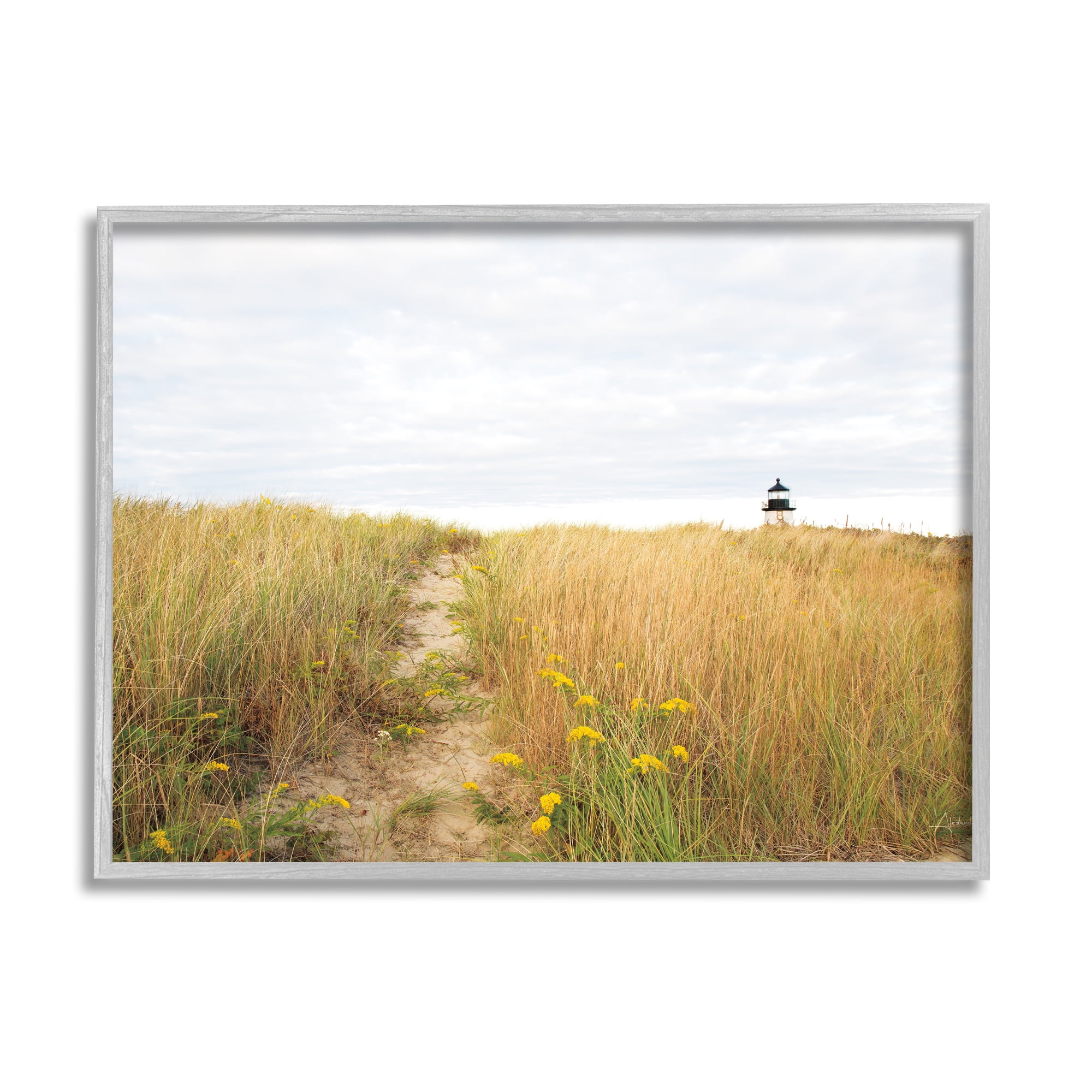 Stupell Industries Lighthouse Grassland Scenery Nature Photography Gray Framed Art Print Wall Art, 14 x 11