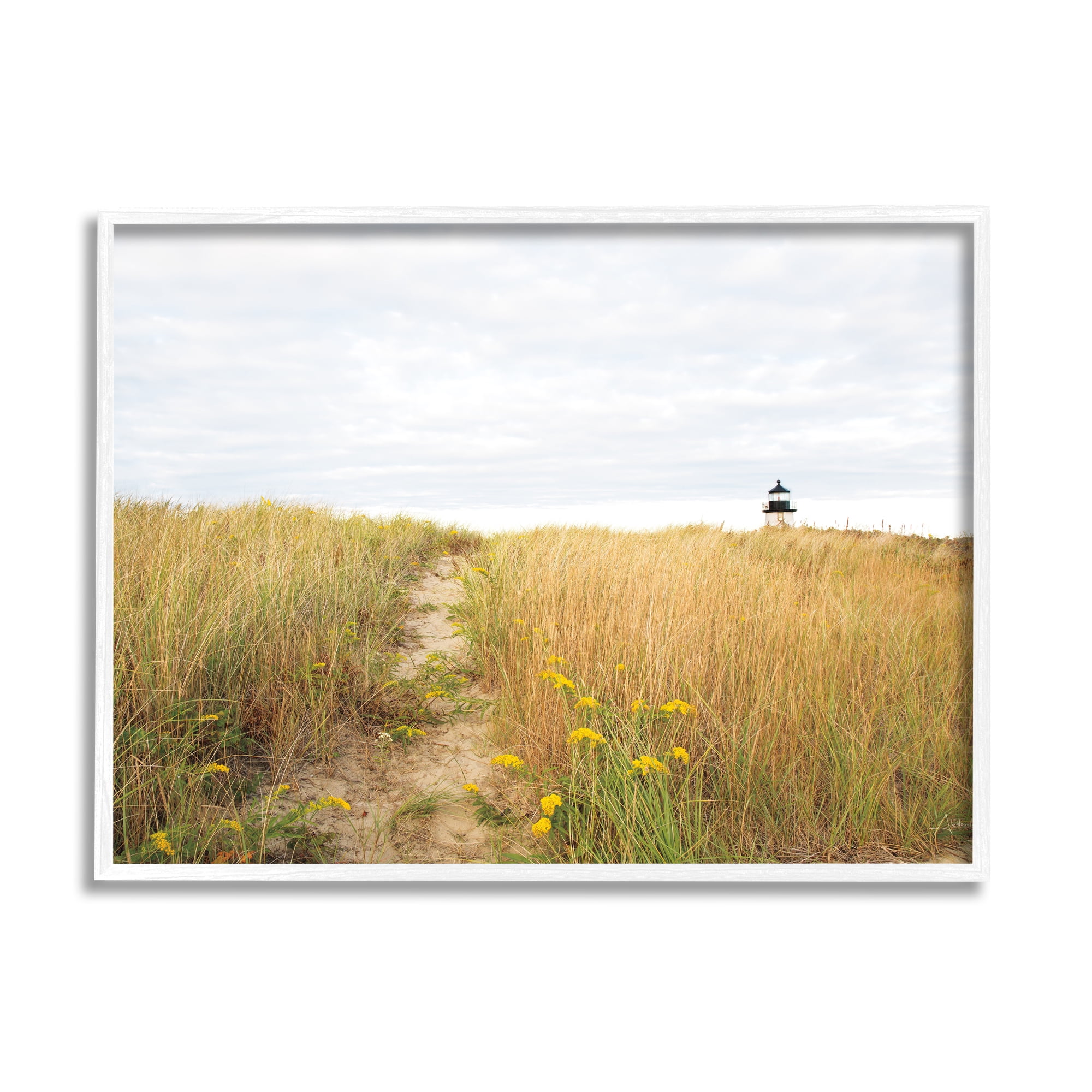 Stupell Industries Lighthouse Grassland Scenery Nature Photography White Framed Art Print Wall Art, 20 x 16