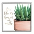 thumbnail image 1 of Stupell Industries Like It's Heaven On Earth Plant Graphic Art Gray Framed Art Print Wall Art, Design by Kim Allen, 1 of 7