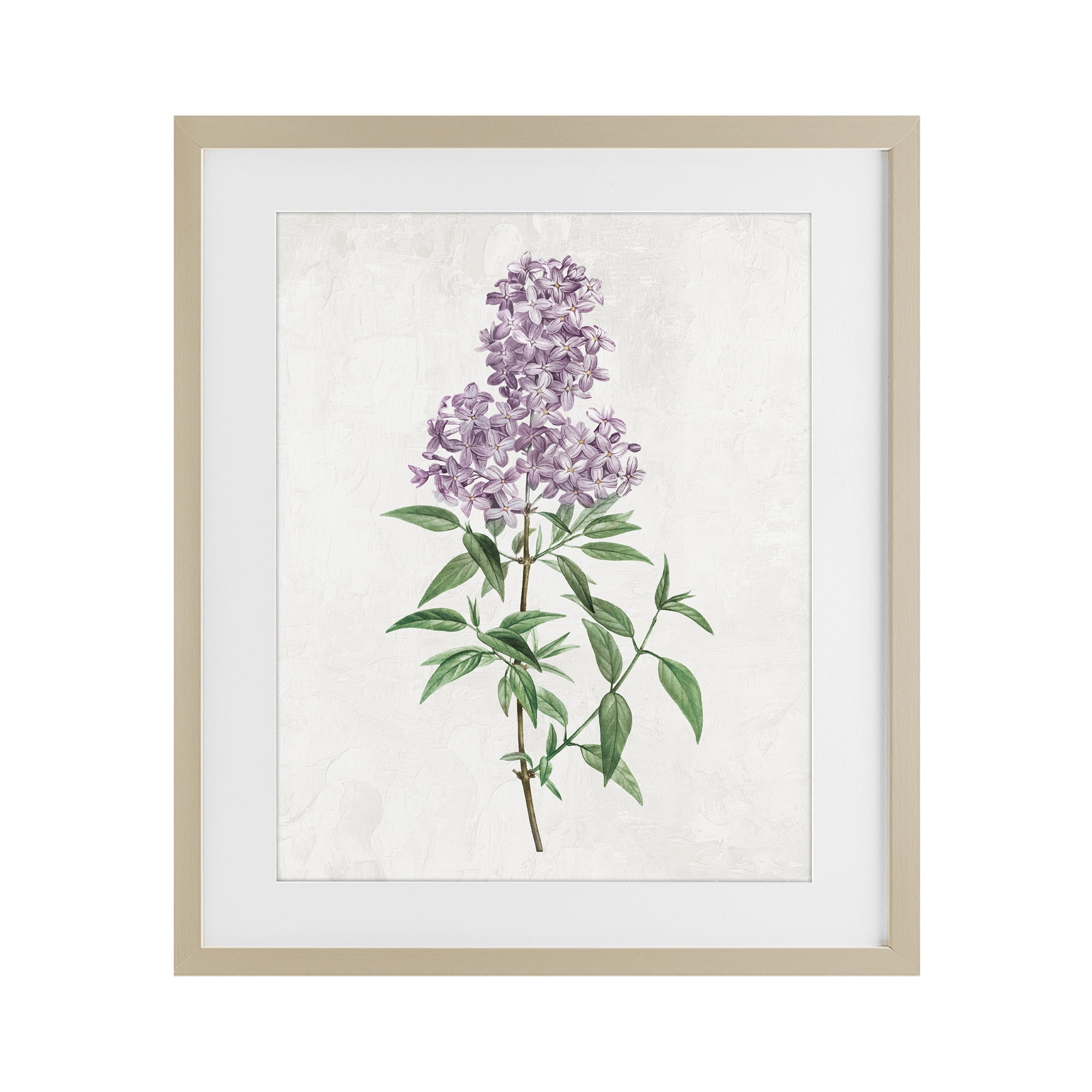 Stupell Industries Lilac Blossoms Blooms Birch Framed Print Under Glass, design by Kim Allen