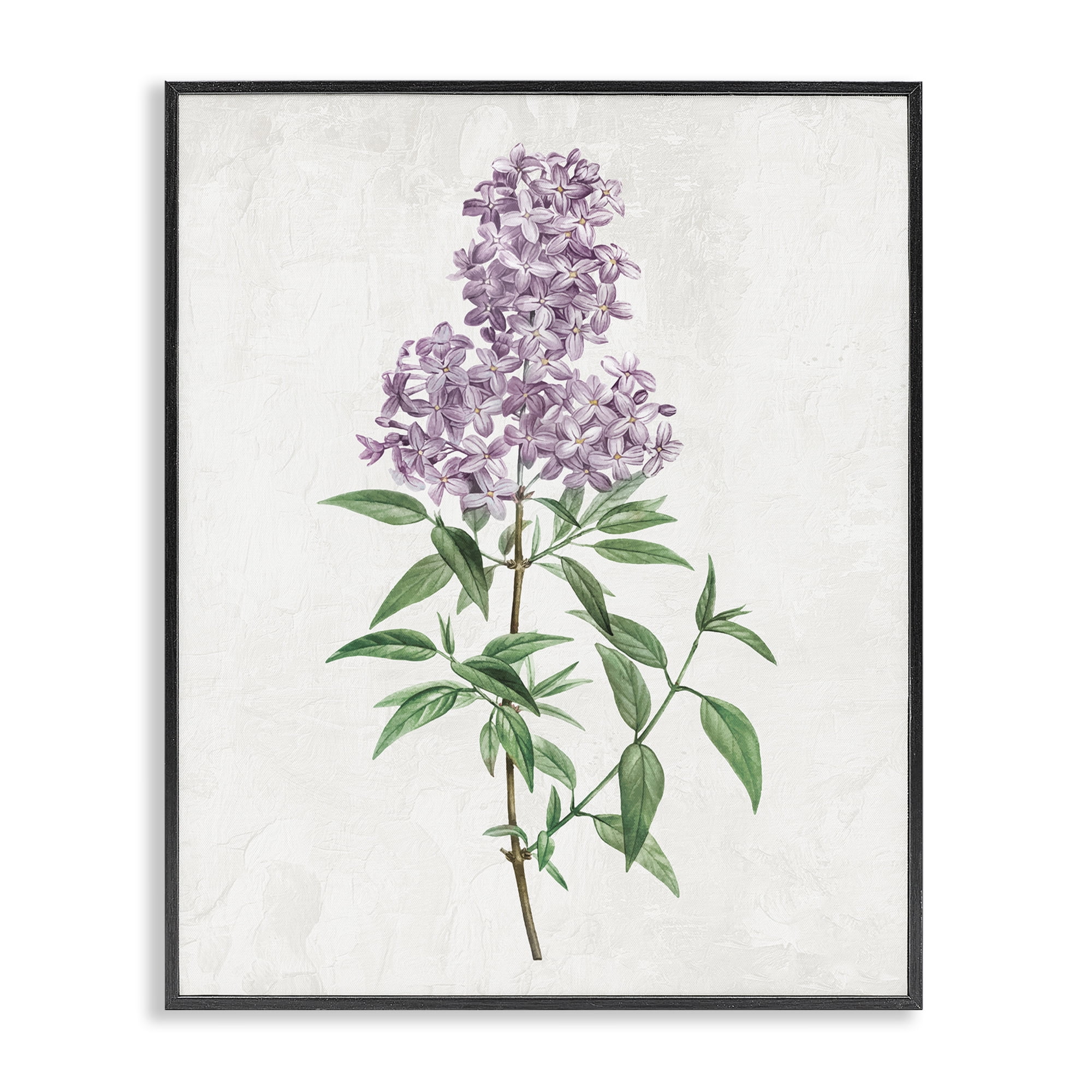 Stupell Industries Lilac Blossoms Blooms Black Framed Giclee Art, design by Kim Allen