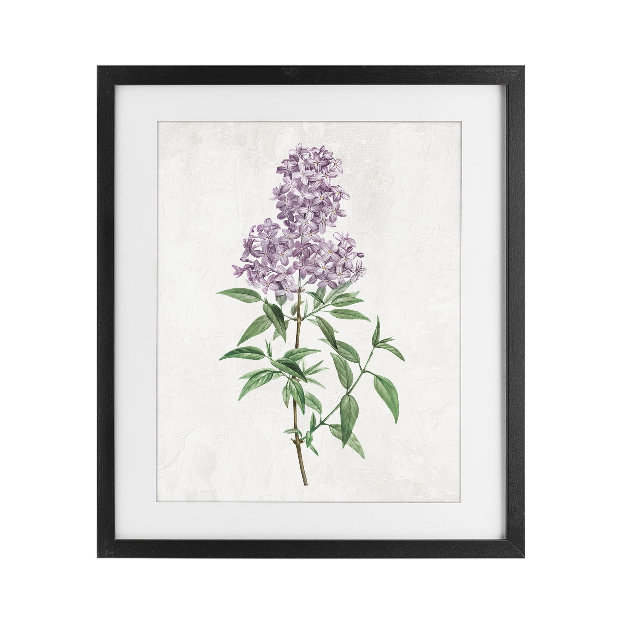 Stupell Industries Lilac Blossoms Blooms Black Framed Print Under Glass, design by Kim Allen