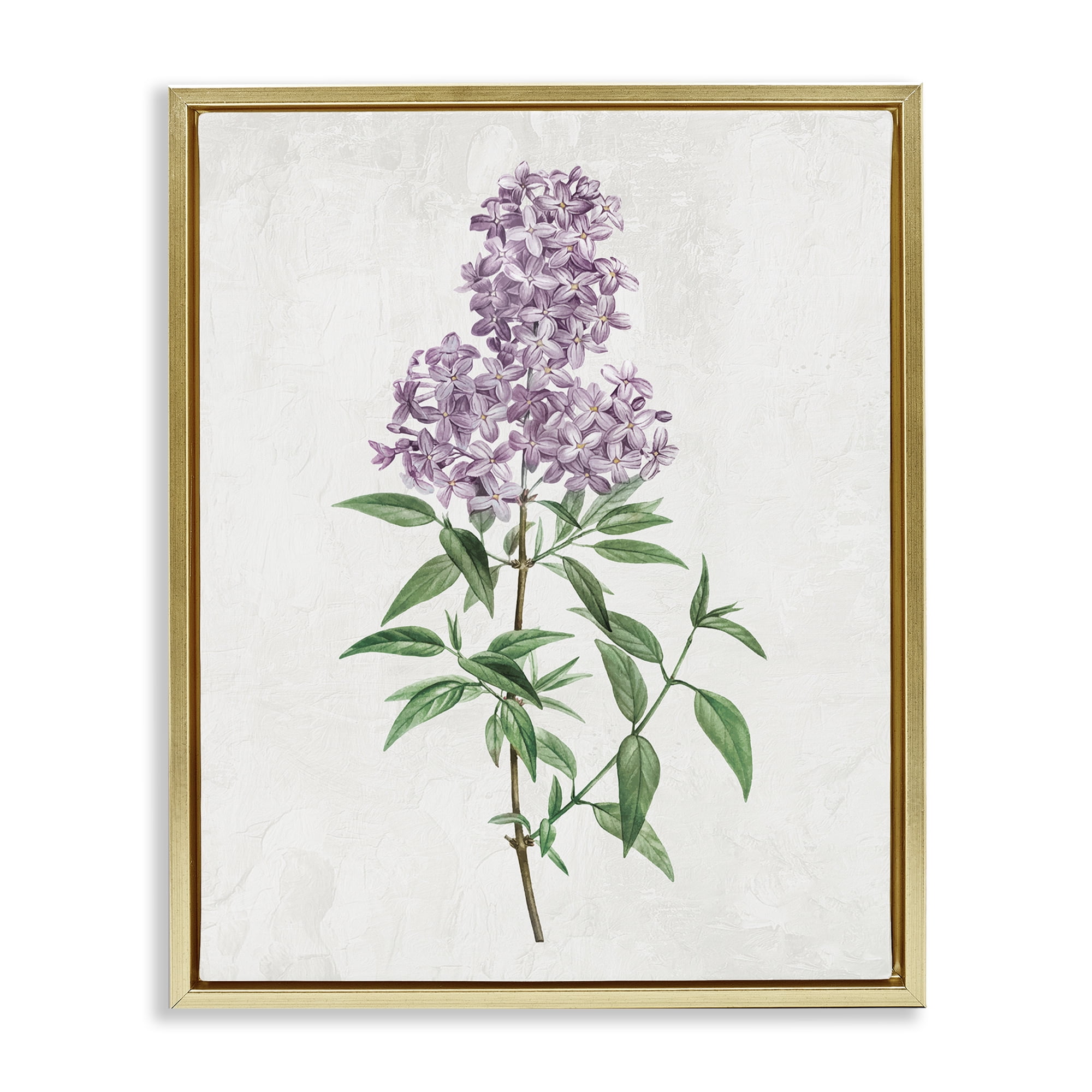 Stupell Industries Lilac Blossoms Blooms Gold Framed Floater Canvas Wall Art, design by Kim Allen