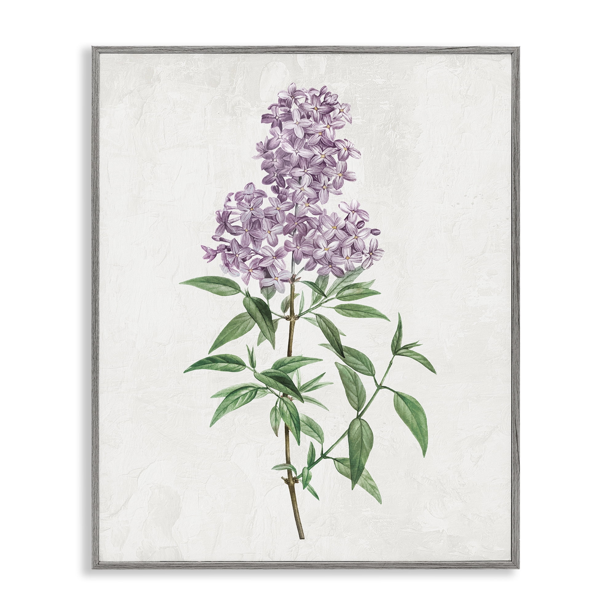 Stupell Industries Lilac Blossoms Blooms Gray Framed Giclee Art, design by Kim Allen