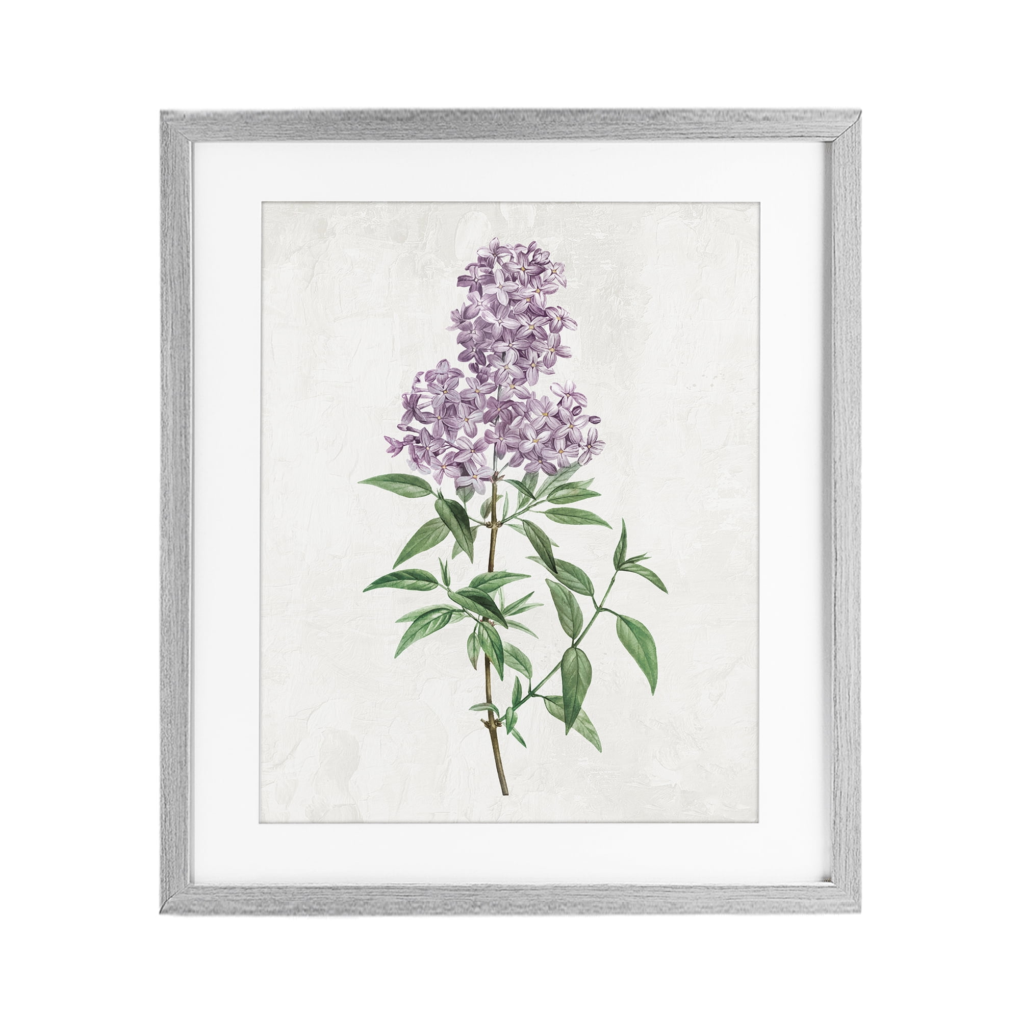 Stupell Industries Lilac Blossoms Blooms Gray Framed Print Under Glass, design by Kim Allen